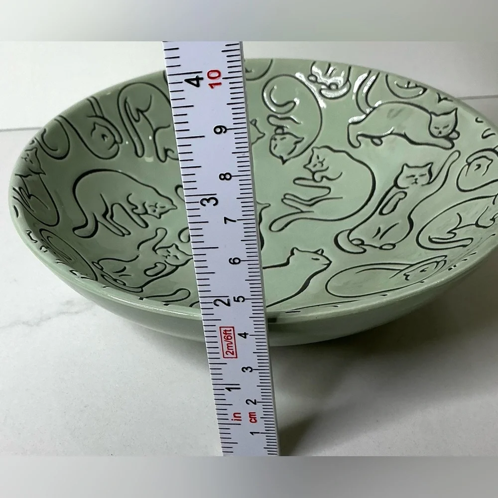 Signature Cat Pet Bowl Plate Food Dish Plate Adorable  Green 6” New